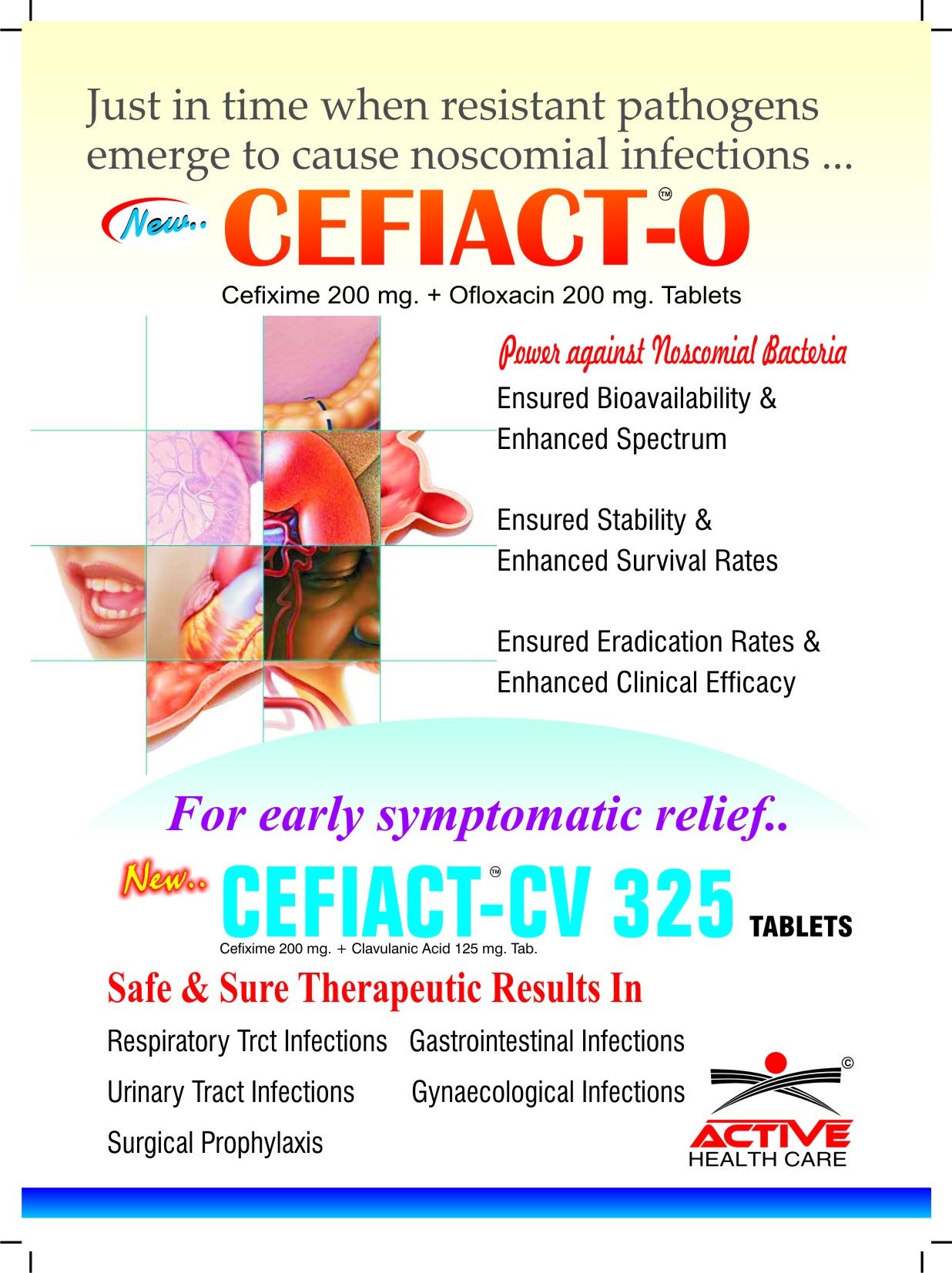PCD pharma franchise